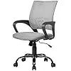 Ergonomic Mesh Office Chair with Lumbar Support