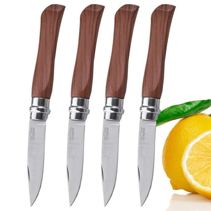 Portable Folding Paring Knife for Effortless Slicing