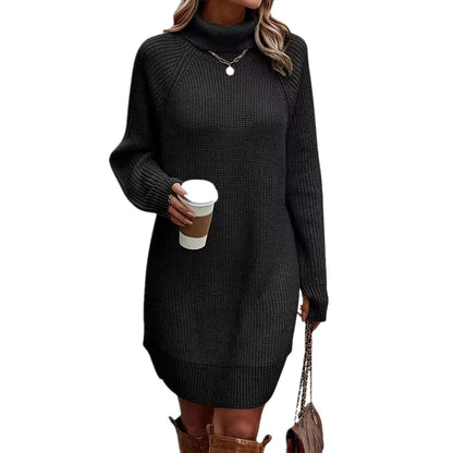 Women’s Turtleneck Sweater Dress Warm Knitwear