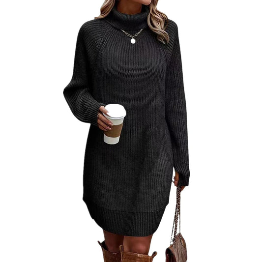 Women’s Turtleneck Sweater Dress Warm Knitwear