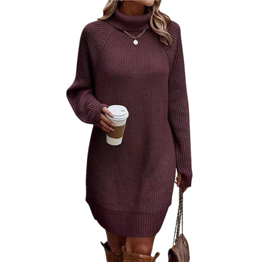Women’s Turtleneck Sweater Dress Warm Knitwear