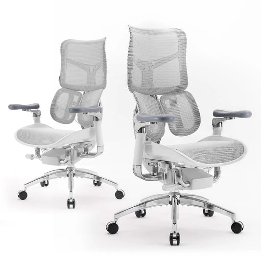 Ergonomic Office Chair with Dual Lumbar Support