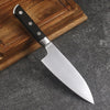 5 Inch Paring Knife - Sharp Clad Steel