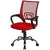 Ergonomic Mesh Office Chair with Lumbar Support