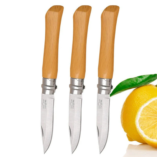 Portable Folding Paring Knife for Effortless Slicing