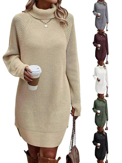 Women’s Turtleneck Sweater Dress Warm Knitwear