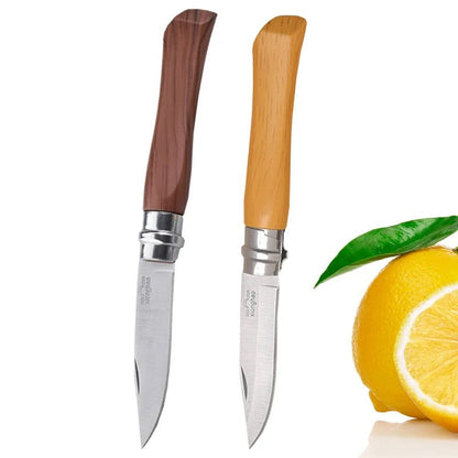 Portable Folding Paring Knife for Effortless Slicing