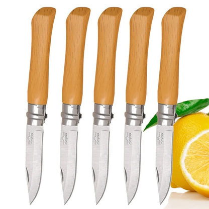 Portable Folding Paring Knife for Effortless Slicing