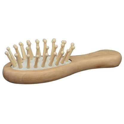 Travel Mini Bamboo Hair Brush for Styling