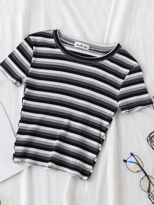Summer Rainbow Striped Slim Fit T-Shirt