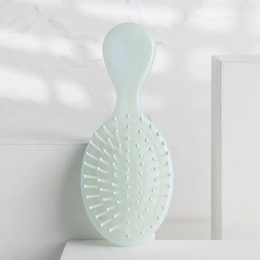 Mini Wet Hair Brush for Curly Detangling