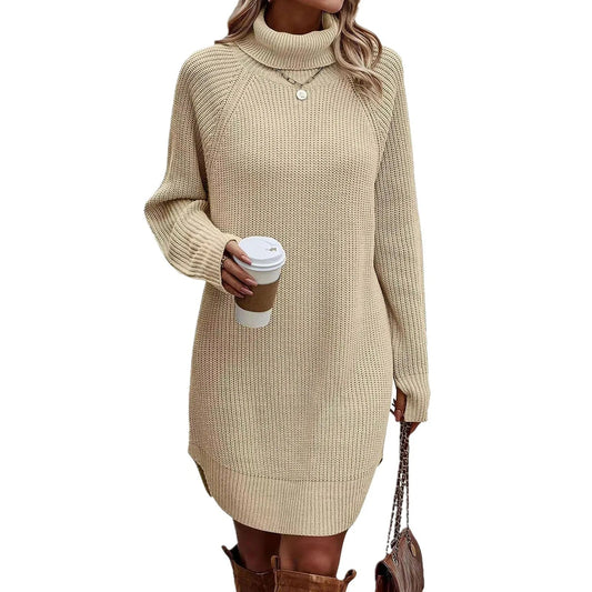 Women’s Turtleneck Sweater Dress Warm Knitwear