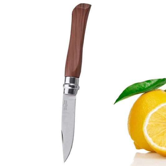 Portable Folding Paring Knife for Effortless Slicing