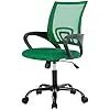 Ergonomic Mesh Office Chair with Lumbar Support