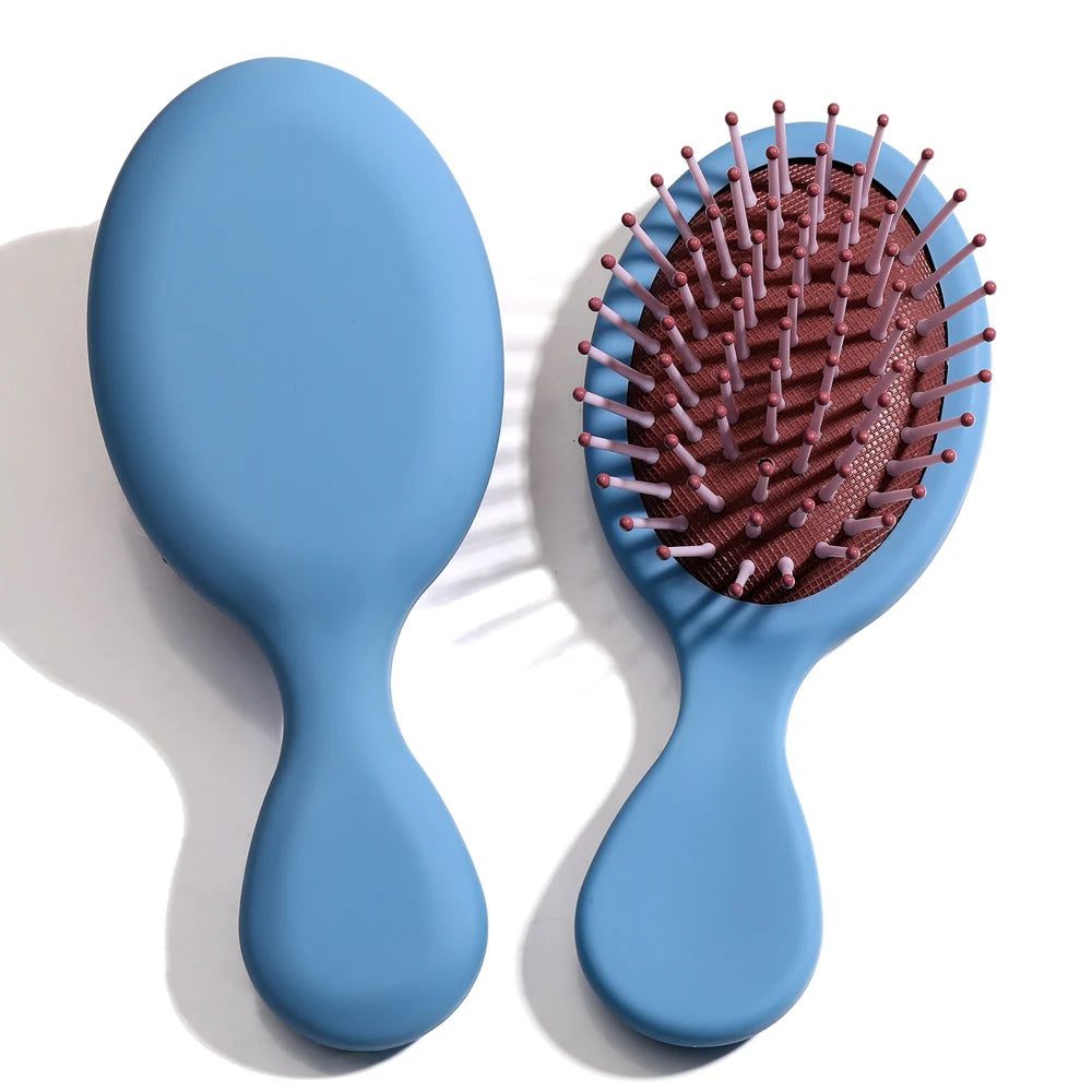 Portable Mini Detangler Hair Brush for All