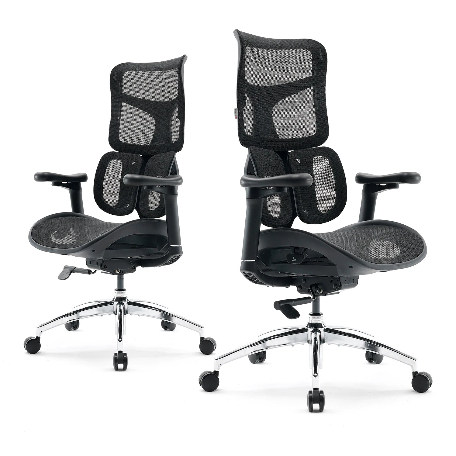 Ergonomic Office Chair with Dual Lumbar Support