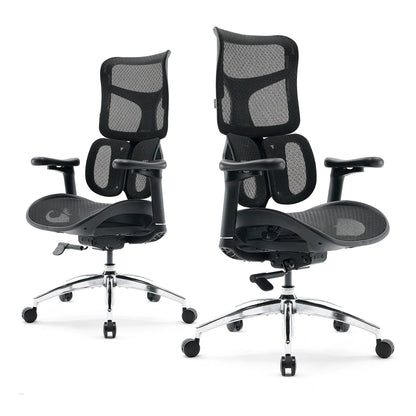 Ergonomic Office Chair with Dual Lumbar Support