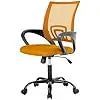 Ergonomic Mesh Office Chair with Lumbar Support