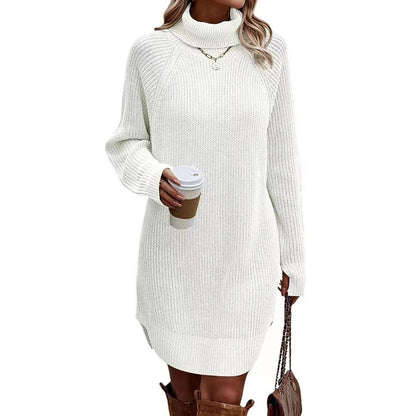 Women’s Turtleneck Sweater Dress Warm Knitwear
