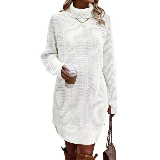 Women’s Turtleneck Sweater Dress Warm Knitwear