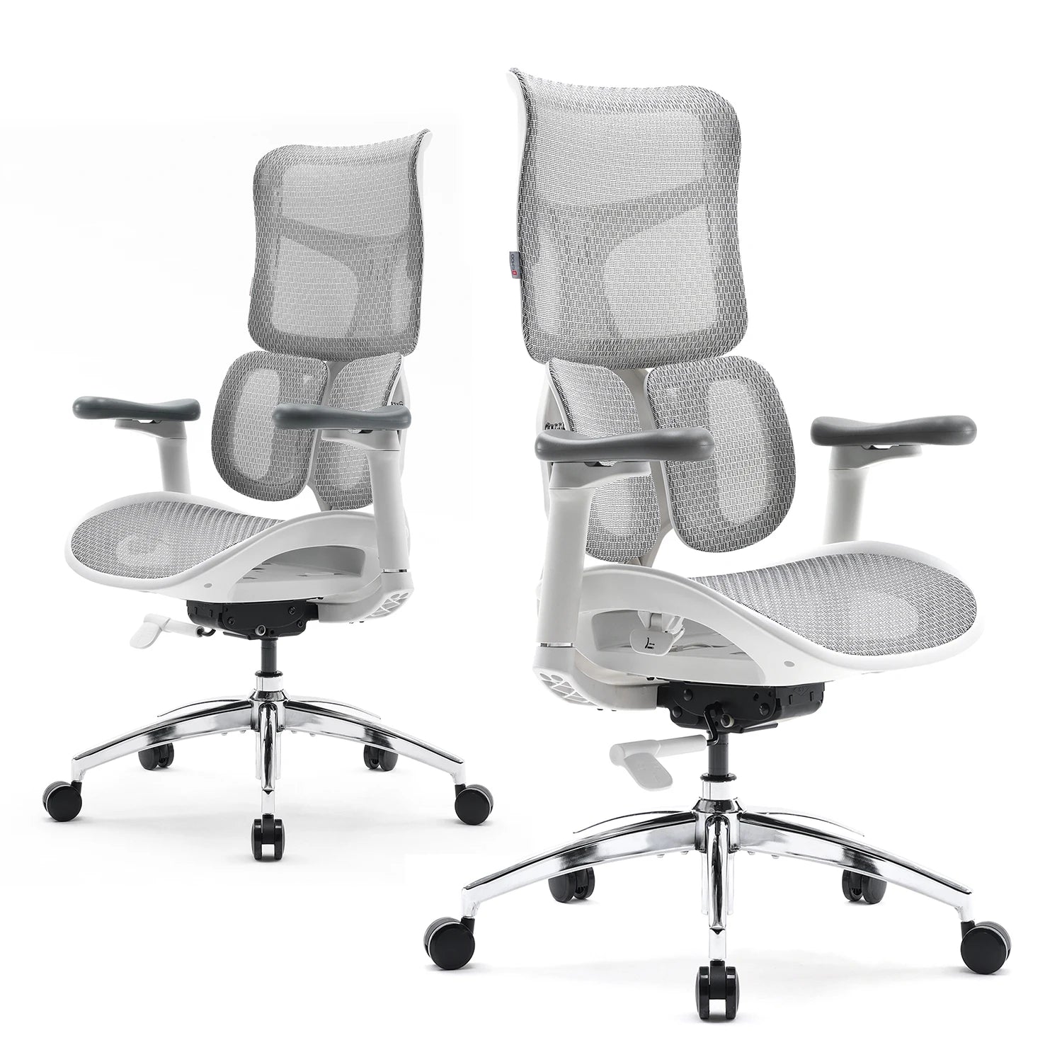 Ergonomic Office Chair with Dual Lumbar Support