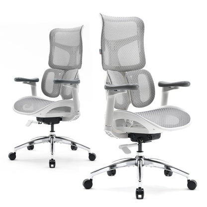 Ergonomic Office Chair with Dual Lumbar Support