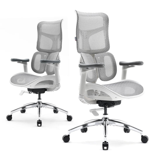 Ergonomic Office Chair with Dual Lumbar Support