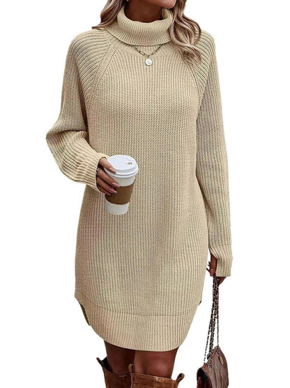 Women’s Turtleneck Sweater Dress Warm Knitwear