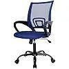 Ergonomic Mesh Office Chair with Lumbar Support
