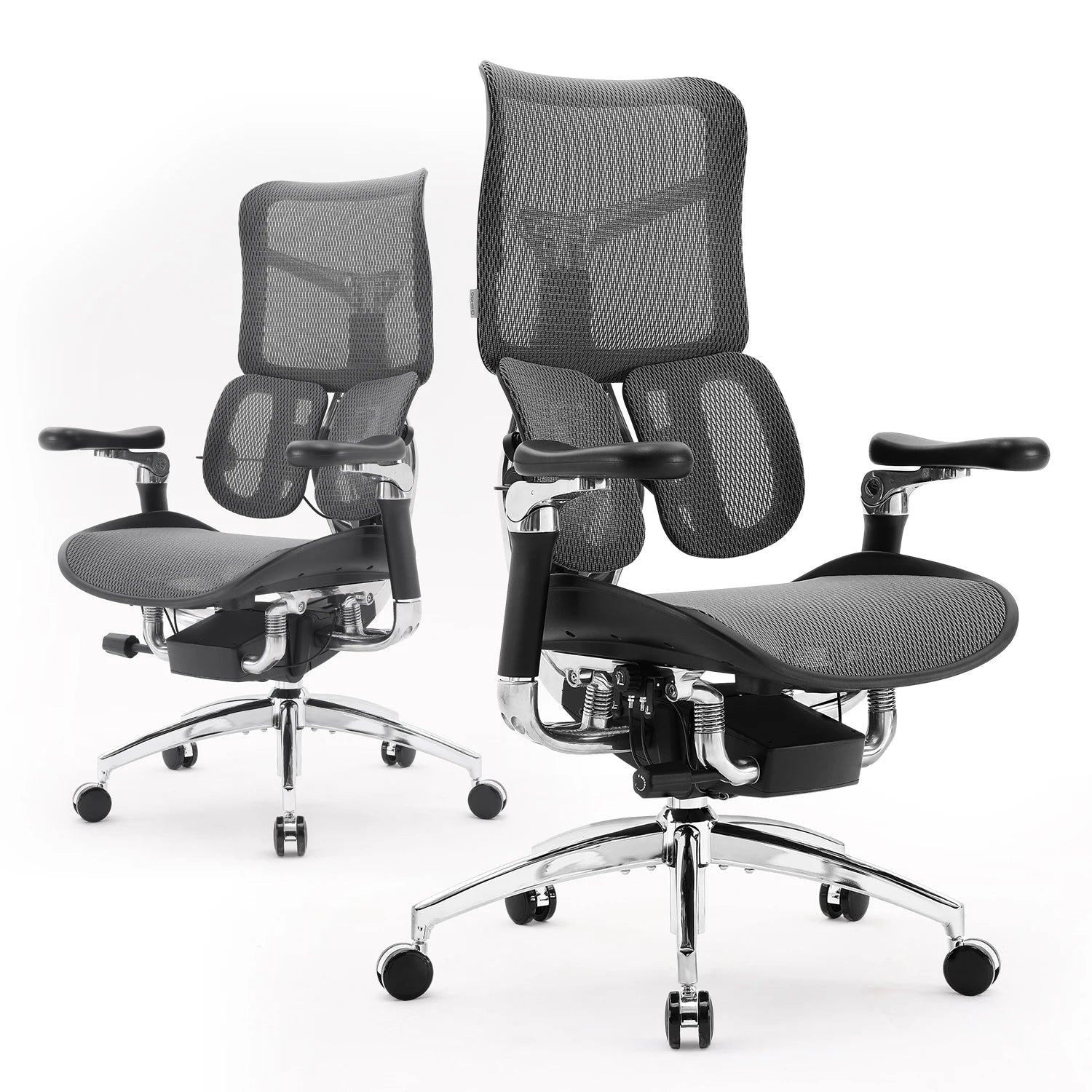 Ergonomic Office Chair with Dual Lumbar Support