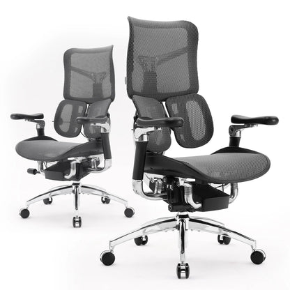 Ergonomic Office Chair with Dual Lumbar Support