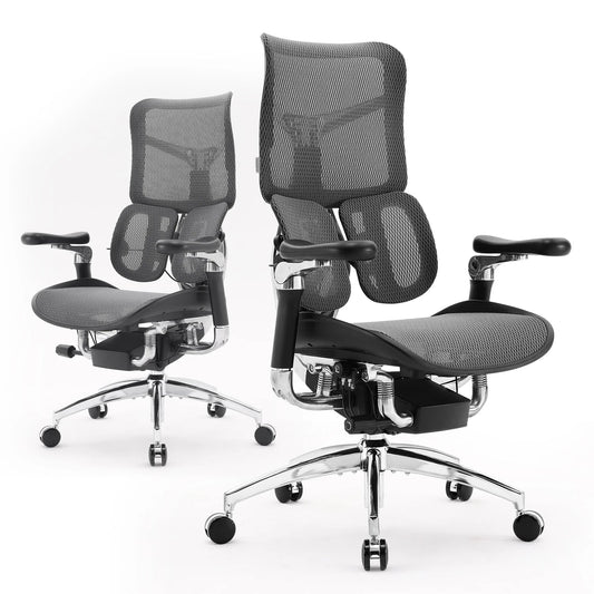 Ergonomic Office Chair with Dual Lumbar Support