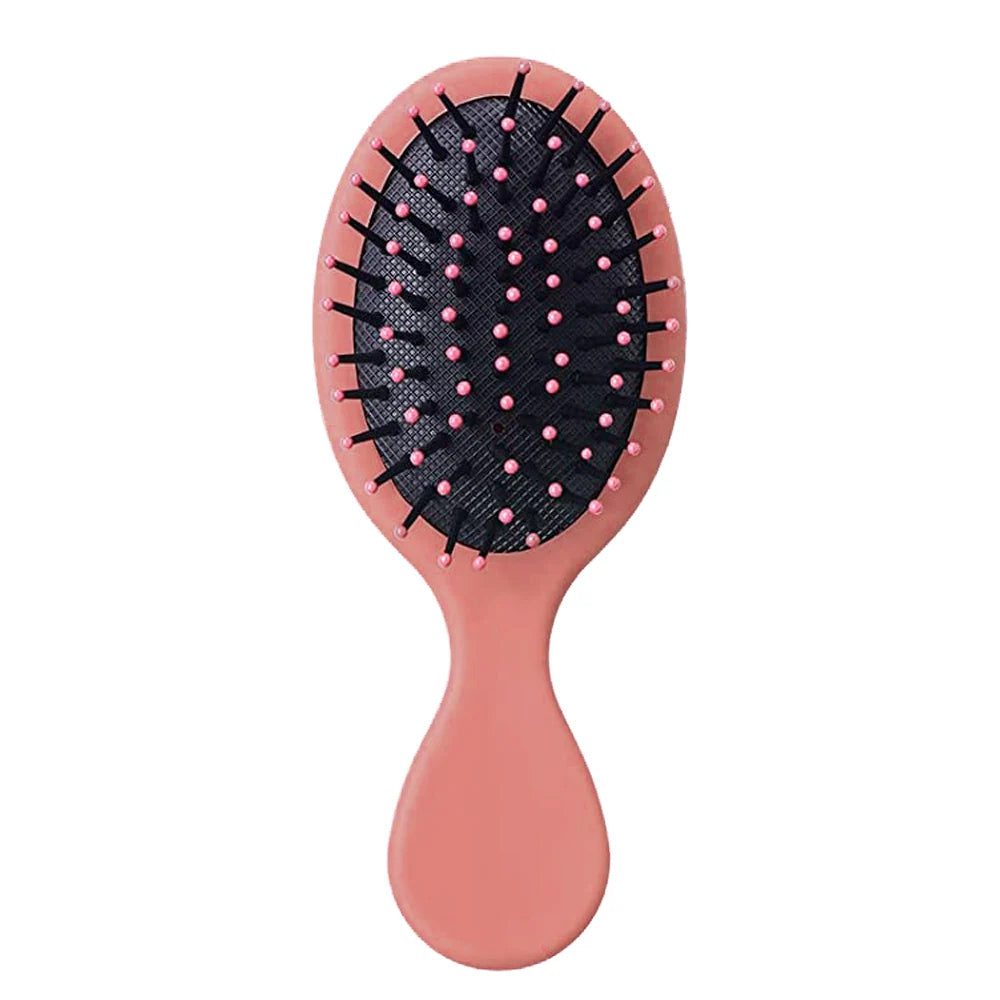 Portable Mini Detangler Hair Brush for All