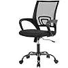 Ergonomic Mesh Office Chair with Lumbar Support