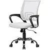 Ergonomic Mesh Office Chair with Lumbar Support