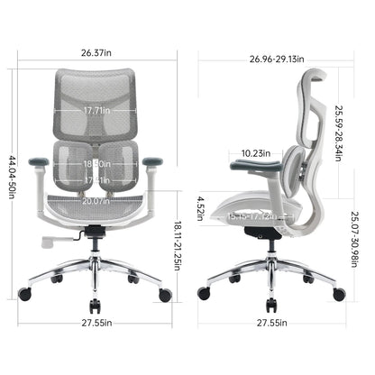 Ergonomic Office Chair with Dual Lumbar Support