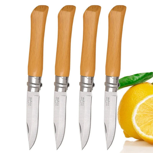 Portable Folding Paring Knife for Effortless Slicing