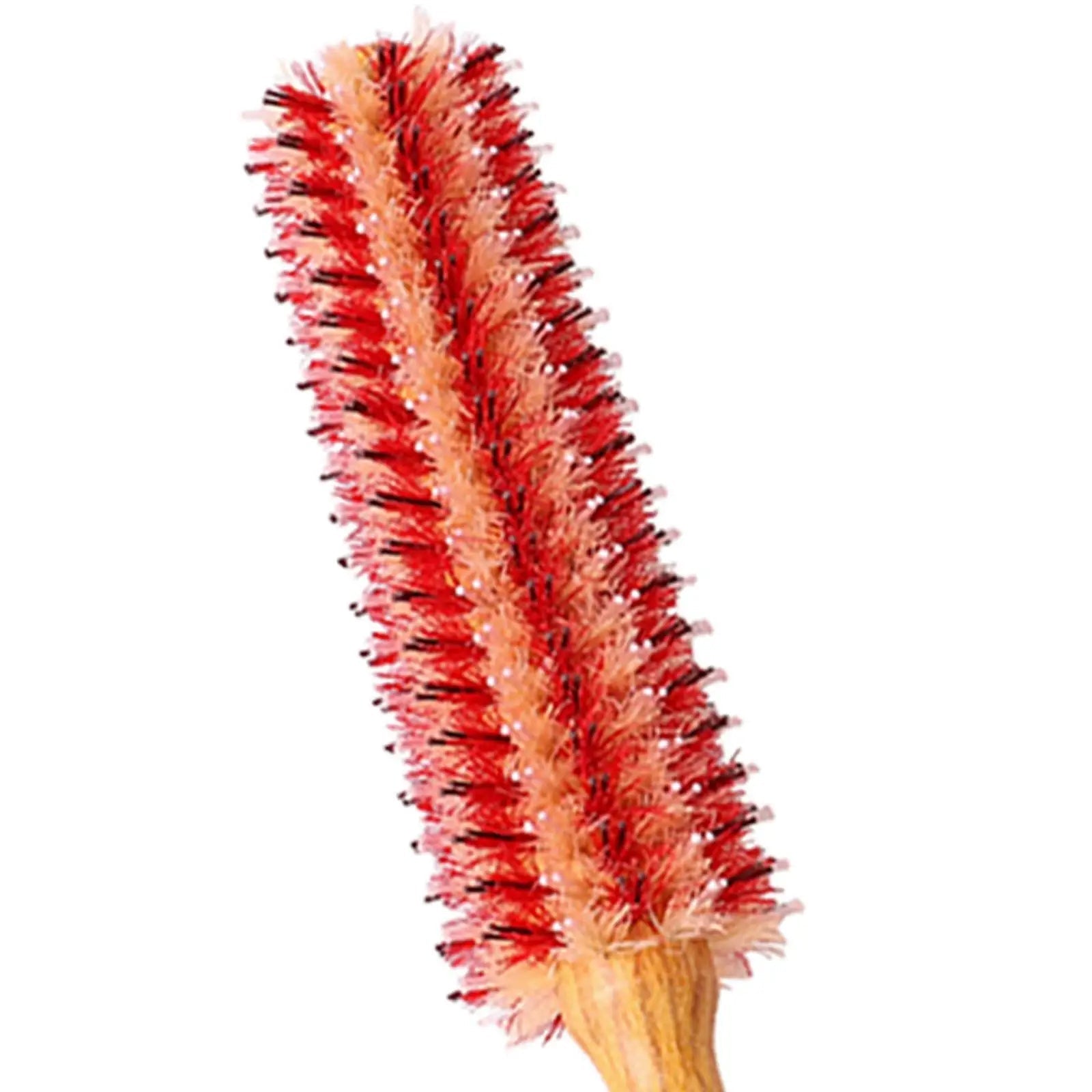 Small Round Hair Brush with Wooden Handle