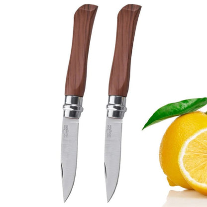 Portable Folding Paring Knife for Effortless Slicing