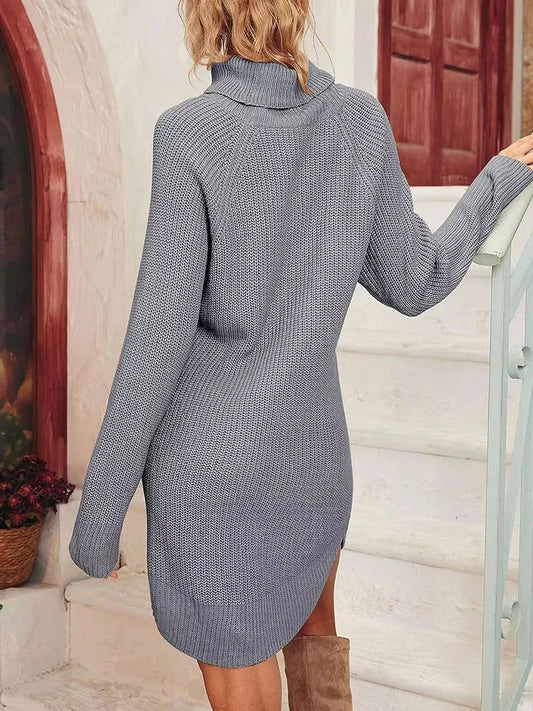 Women’s Turtleneck Sweater Dress Warm Knitwear