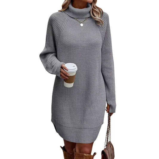 Women’s Turtleneck Sweater Dress Warm Knitwear